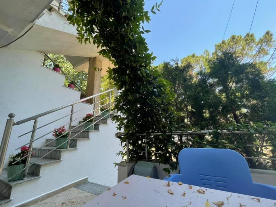 Aparthotel Vila Tufi Velipojë Exteriér fotografie