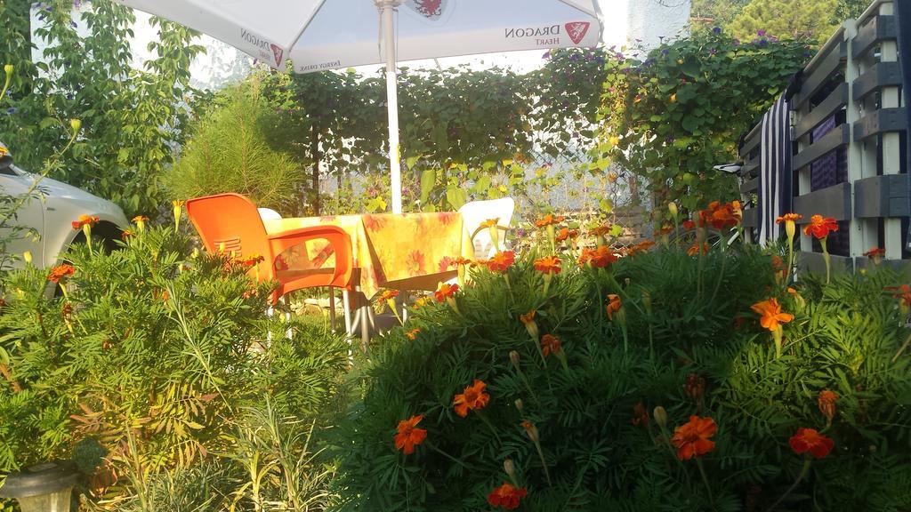 Aparthotel Vila Tufi Velipojë Pokoj fotografie